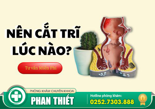 Có Nên Cắt Trĩ Không? Khi Nào Nên Đi Cắt Trĩ?